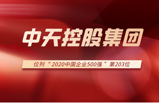 asiagame控股集团列2020中国企业500强第203位！
